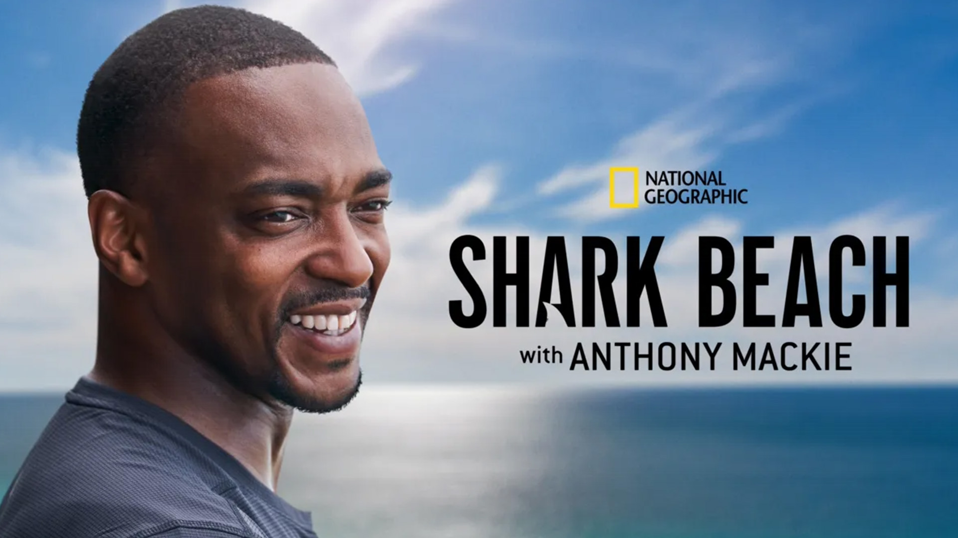 Article Shark Beach With Anthony Mackie Gulf Coast 1920X1080